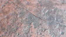 Stamped Concrete Pool Deck with Matcrete Seamless Texture Skins