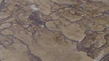 Arizona Sandstone Stamped Concrete