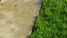 Rock Salt / Coquina Stone Stamped Concrete