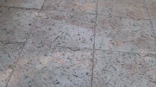 24" Texas Sea Shell / Rock Salt Stamped Concrete