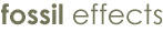 MATCRETE® Fossil Effects are used to emboss