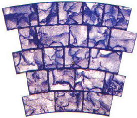 14' Slate Cobblestone Circle Decorative Concrete Stamp