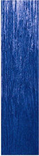 12" Pacific Boardwalk Decorative Concrete Stamp