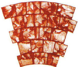 9' Slate Cobblestone Circle Decorative Concrete Stamp