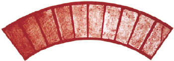 New Brick 2' Radius Soldier Course Decorative Concrete Border Tool