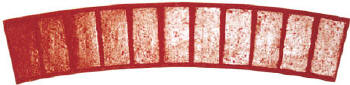 New Brick 10' Radius Soldier Course Decorative Concrete Border Tool