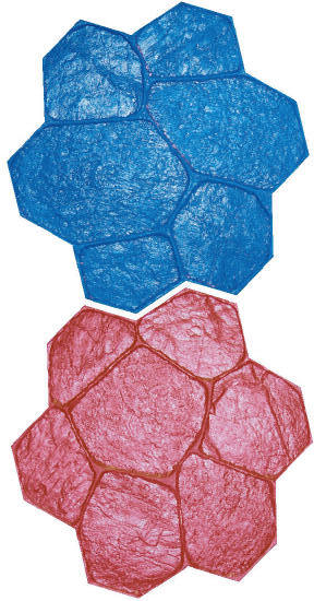 Extra Large Random Stone Decorative Concrete Stamps
