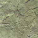 San Diego Slate Stamped Concrete