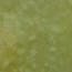 Chemical Stain - Olive